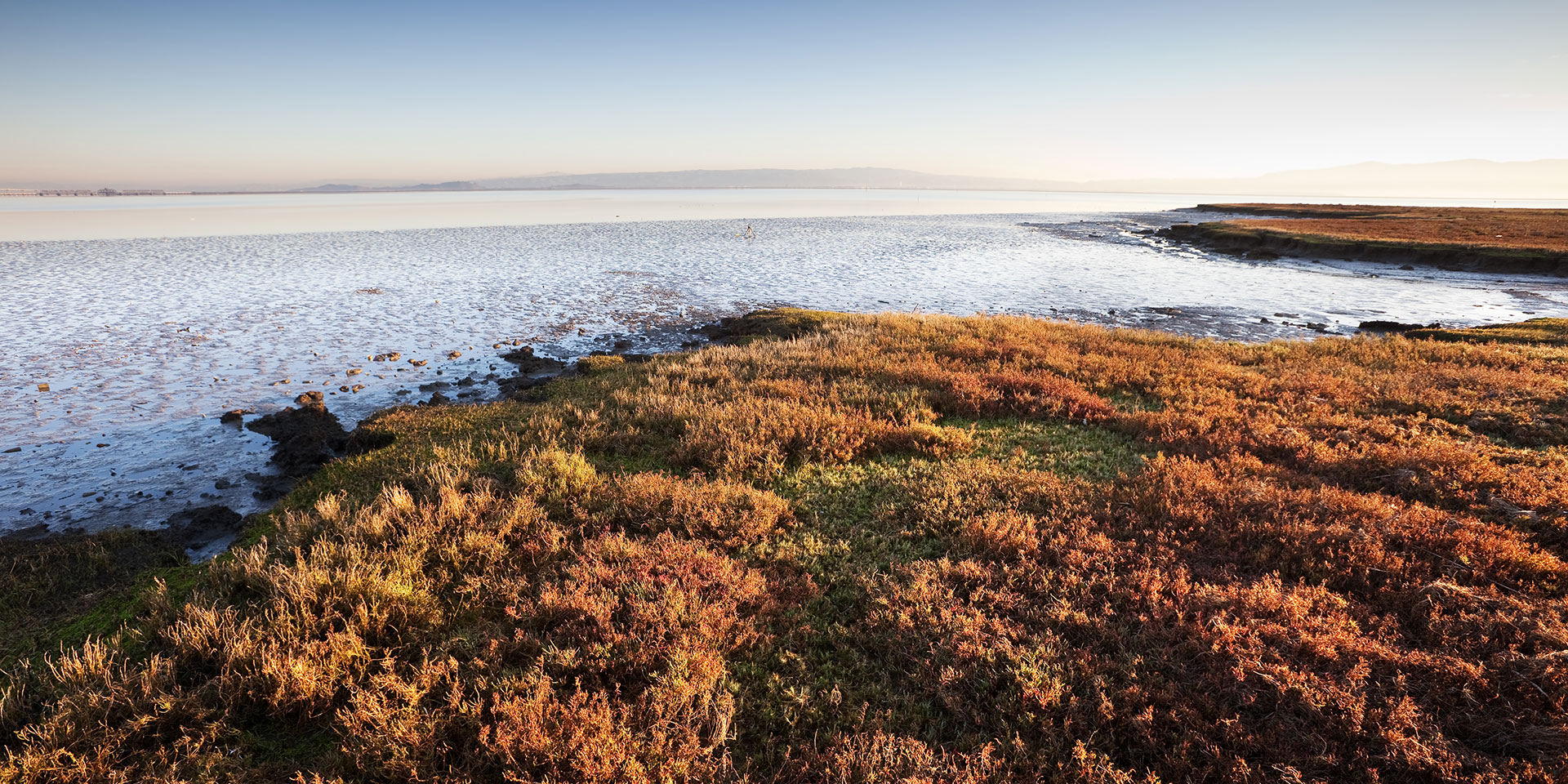 San Francisco Bay Coastal Shoreline